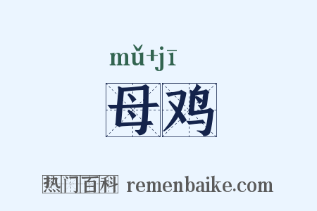 母鸡是什么意思的图片